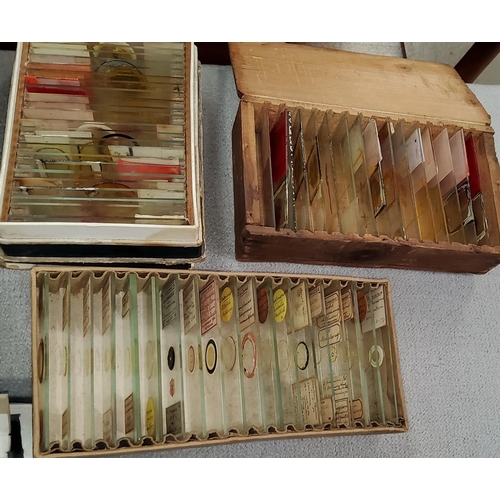 55 - A large collection of microscope slides