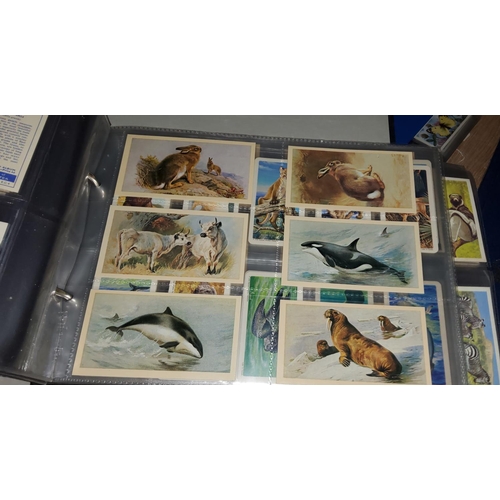 340 - A large selection of natural history cigarette and tee cards including birds, fish, butterfly etc