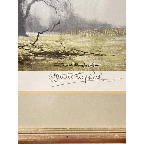 749A - After David Shepherd: Print of trees in winter, signed twice in pen (at an event).  Framed & gla... 