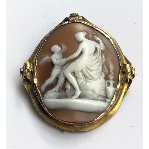 619D - A large oval shell cameo, half length portrait of an angel with dove, the scalloped yellow metal sur... 