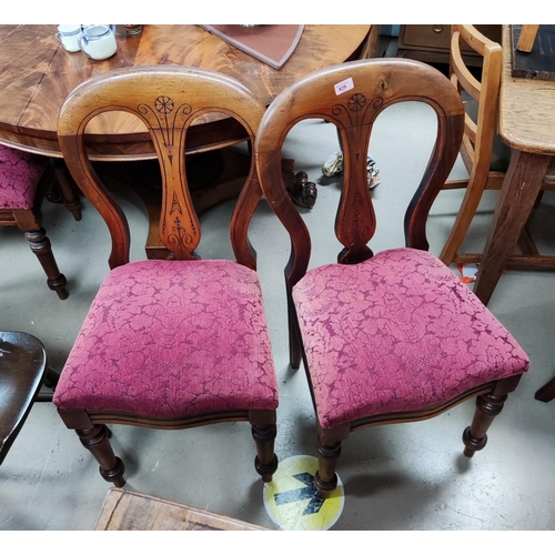 829 - A set of 4 Victorian mahogany balloon back dining chairs and 2 similar chairs, extended length 240cm