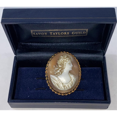 710 - Two brooches with shell carved cameo portraits in gilt metal mounts; a quantity of costume jewellery