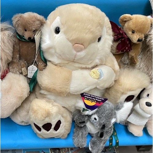 301c - A box of mixed Teddy bears