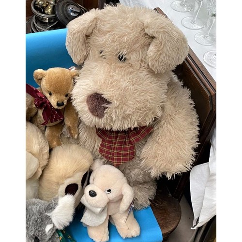 301c - A box of mixed Teddy bears