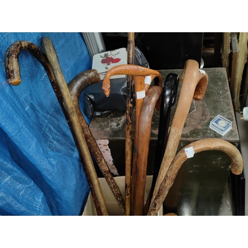 126 - A set of dolly legs; various walking sticks