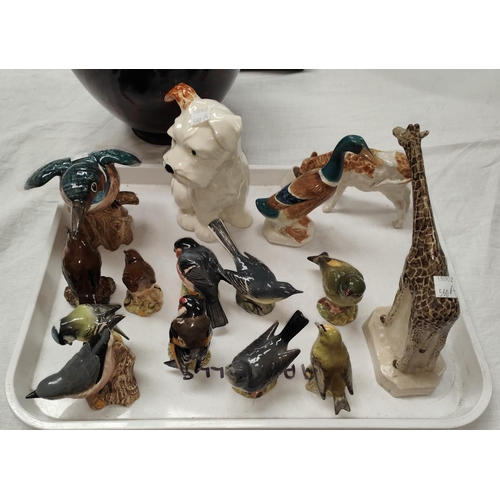 560A - A Beswick large Scottie dog, height 16cms; 11 Beswick birds (5 with minor chips); other animals