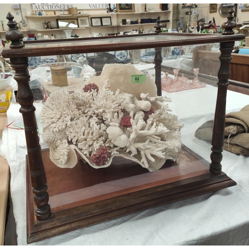 62 - A Victorian glazed cabinet displaying an arrangement of  coral, max width 59cm, max height 52cm, max... 