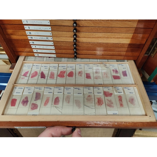 132 - A mid 20th century Pathology Laboratory microscope specimen slide case, polished sepele mahogany, fi... 