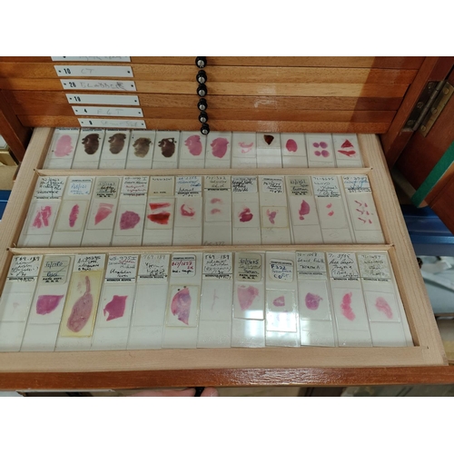 132 - A mid 20th century Pathology Laboratory microscope specimen slide case, polished sepele mahogany, fi... 