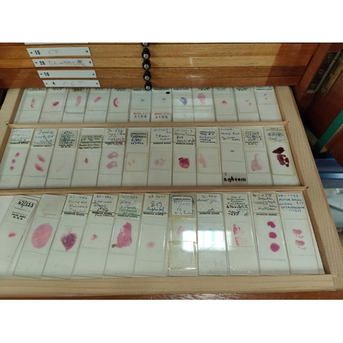 132 - A mid 20th century Pathology Laboratory microscope specimen slide case, polished sepele mahogany, fi... 