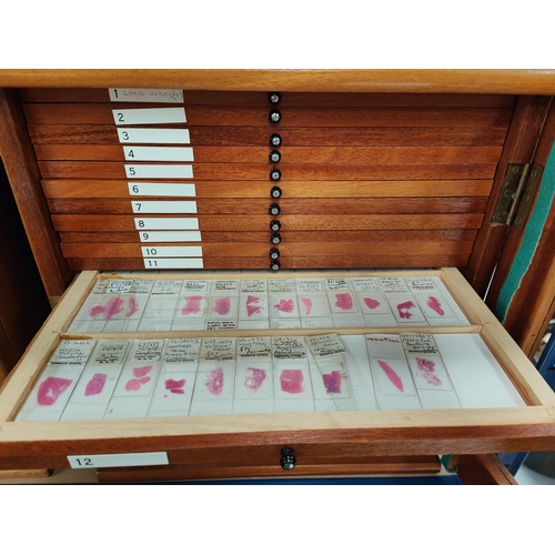 133 - A mid 20th century Pathology Laboratory microscope specimen slide case, polished sepele mahogany, fi... 