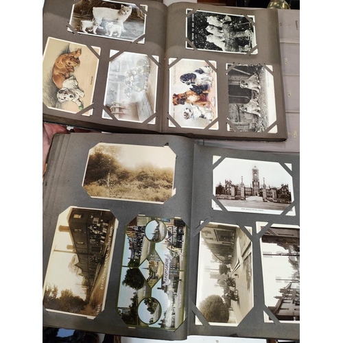 265 - A 1920's postcard album, some Mabel Lucie Atwell; another album