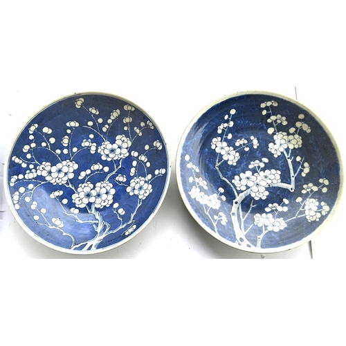 403 - A pair of Chinese matched plaques decorated in blue and white with prunus blossom  on branch decorat... 