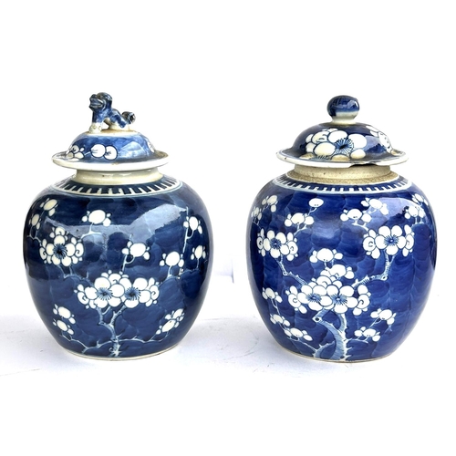 405 - A pair of Chinese blue and white prunus blossom ginger jars with matched lids, both with double circ... 