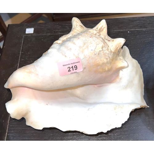 219 - A large conch shell, length 26cm and a selection of smaller similar shells 