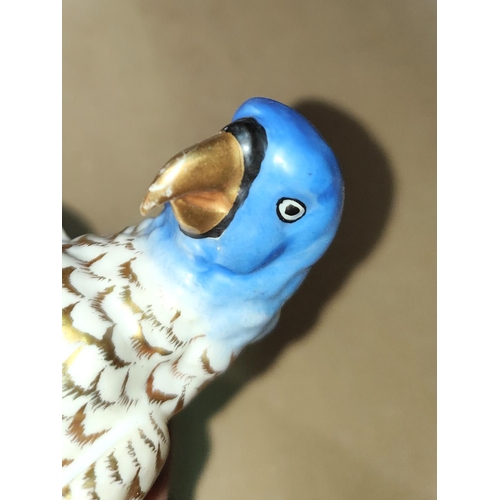 516 - A late 19th / early 20th century porcelain parakeet in the Chelsea manner with gold anchor mark to r... 