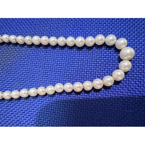 679 - A single strand graduated pearl necklace, with Art Deco style white metal gem set clasp, stamped '9c... 