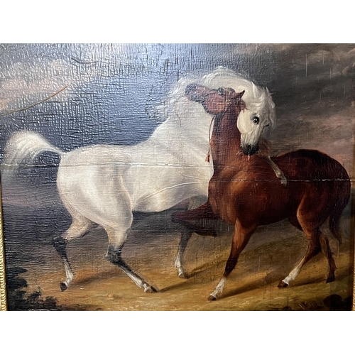 757 - Follower of George Stubbs (1724-1806) oil on board white and brown horse intertwined, unsigned, gilt... 