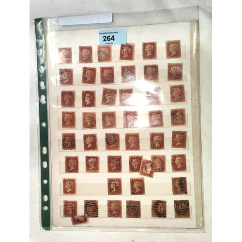 264 - A collection of penny red stamps on 2 sheets