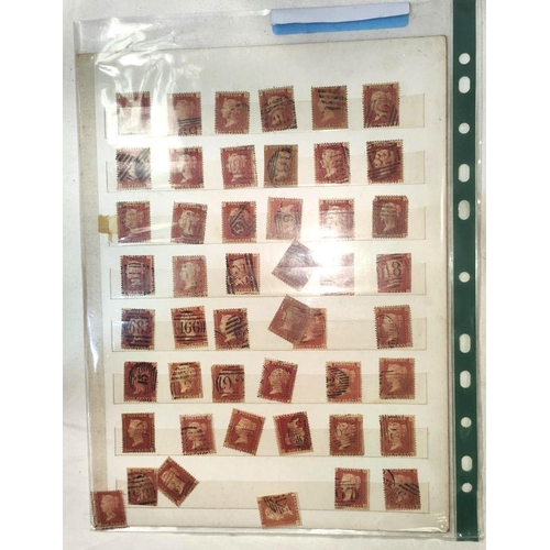 264 - A collection of penny red stamps on 2 sheets