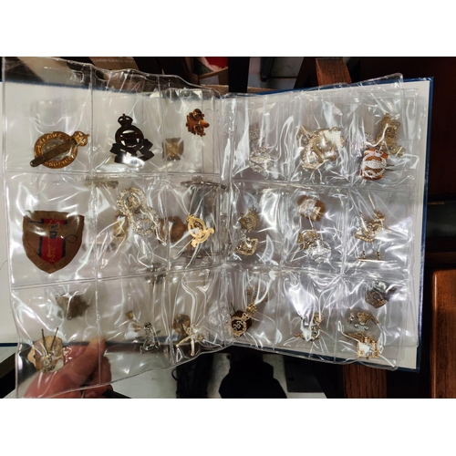 387 - A collection of military badges