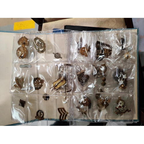 387B - A collection of military badges