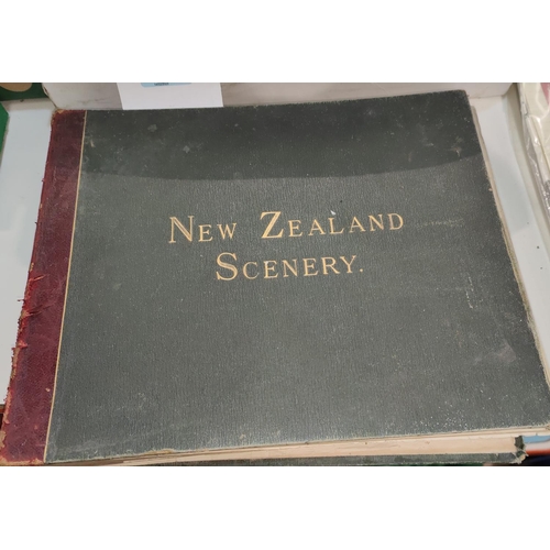 172 - The IMPERIAL ALBUM of NEW ZEALAND SCENERY, 2 series 384 plates found as one, 25 x 31cm