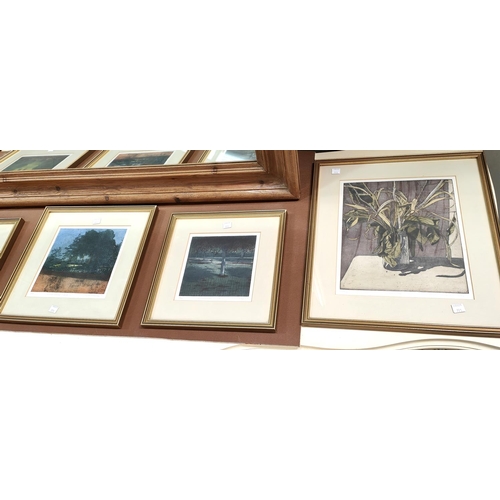 771 - Terry McKinney:  5 artist signed coloured etchings, framed and glazed; Robert Cox: still life o... 