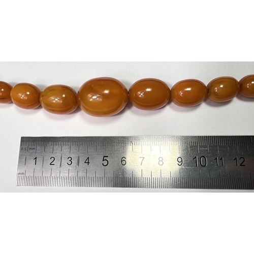 644 - An early/mid 20th century amber necklace formed from graduating oval 'butterscotch' beads, largest b... 