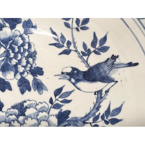 436 - A 19th century Chinese blue and white dish decorated with bird on chrysanthemum, floral border, diam... 