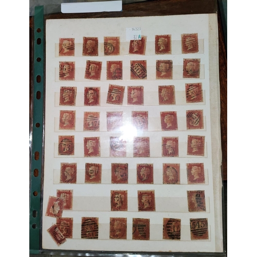 371A - A collection of penny red stamps on 2 sheets