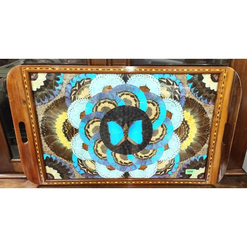 1038 - An Edwardian inlaid large butterfly tray with wings set out in decorative patterns, length 71cm