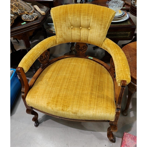 1041 - An Edwardian club armchair in mahogany upholstered in gold