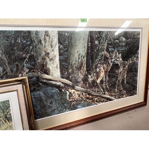 798 - After Stephen Combes: signed limited edition print of Lion and lioness in the bush, 57x46cm framed a... 