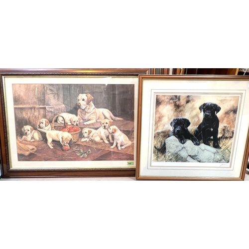 799 - A selection of framed and glazed signed and some limited edition prints of various breeds of dogs, i... 