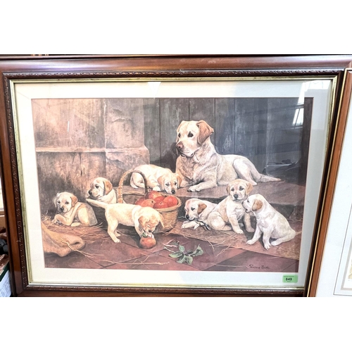 799 - A selection of framed and glazed signed and some limited edition prints of various breeds of dogs, i... 