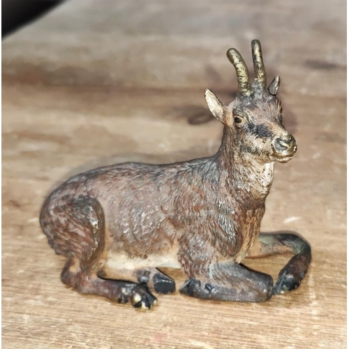 137 - A cold painted bronze in the form of an Austrian goat stamped to the base Bergmann, length 8cm