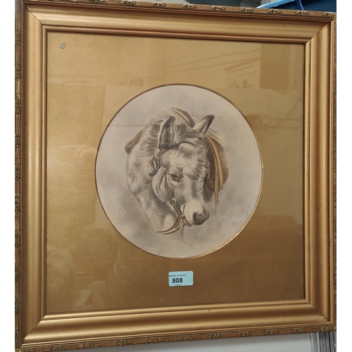 50 - BRITISH 19th century watercolour, portrait of a pet donkey, unsigned, 26 cm diameter, gilt framed