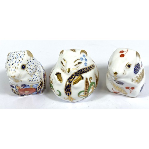 436 - Three originally boxed Royal Crown Derby paperweights, sleeping Dormouse LIX, Collectors Guild exclu... 