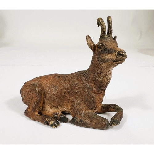 137 - A cold painted bronze in the form of an Austrian goat stamped to the base Bergmann, length 8cm