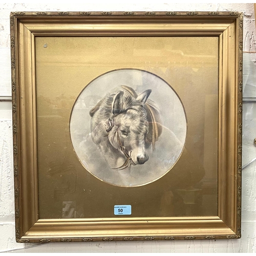 50 - BRITISH 19th century watercolour, portrait of a pet donkey, unsigned, 26 cm diameter, gilt framed