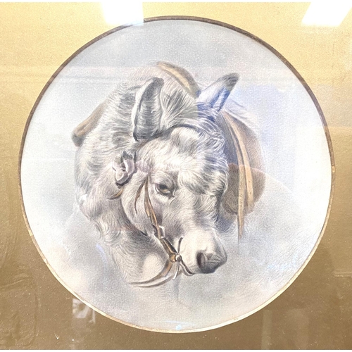 50 - BRITISH 19th century watercolour, portrait of a pet donkey, unsigned, 26 cm diameter, gilt framed