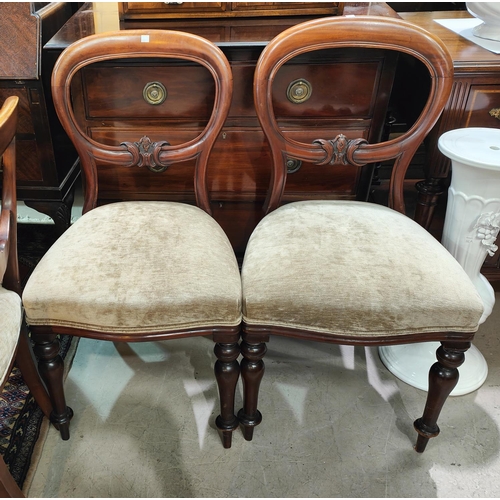 832 - A Victorian set of 6 mahogany dining chairs with balloon backs, overstuffed seats in brown, on turne... 