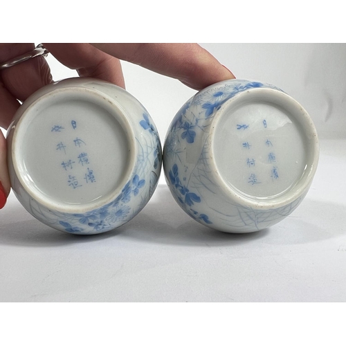 450 - A pair of Chinese pale blue and white  bottle vases, with bird decoration and character marks to bas... 