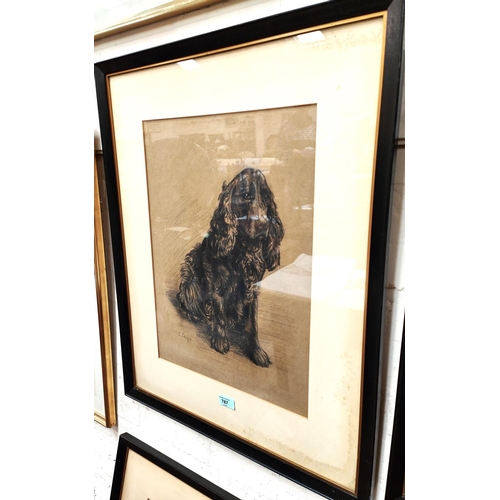 787 - S Lings, British 20th Century:  a conté crayon drawing of a cocker spaniel, signed, 50 x... 