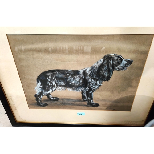 789 - S Lings, British 20th Century:  a conté crayon drawing of a springer spaniel, signed, 37... 