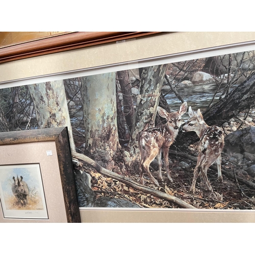 798 - After Stephen Combes: signed limited edition print of Lion and lioness in the bush, 57x46cm framed a... 