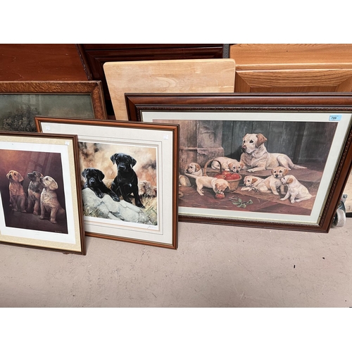 799 - A selection of framed and glazed signed and some limited edition prints of various breeds of dogs, i... 