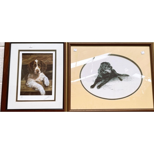 799 - A selection of framed and glazed signed and some limited edition prints of various breeds of dogs, i... 