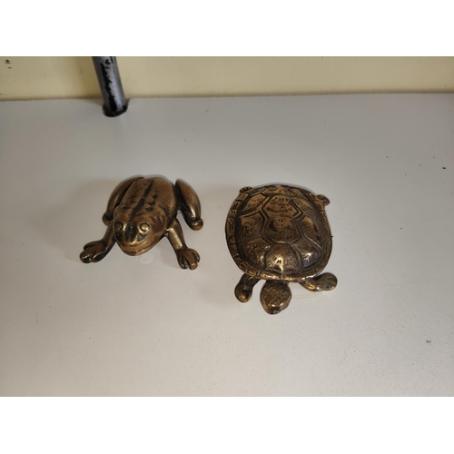 763A - A Victorian brass stamp box in the form of a tortoise and one in the form of a frog